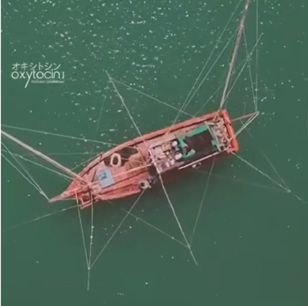 Mohsen Tabatabaei's "Oxytocin I"