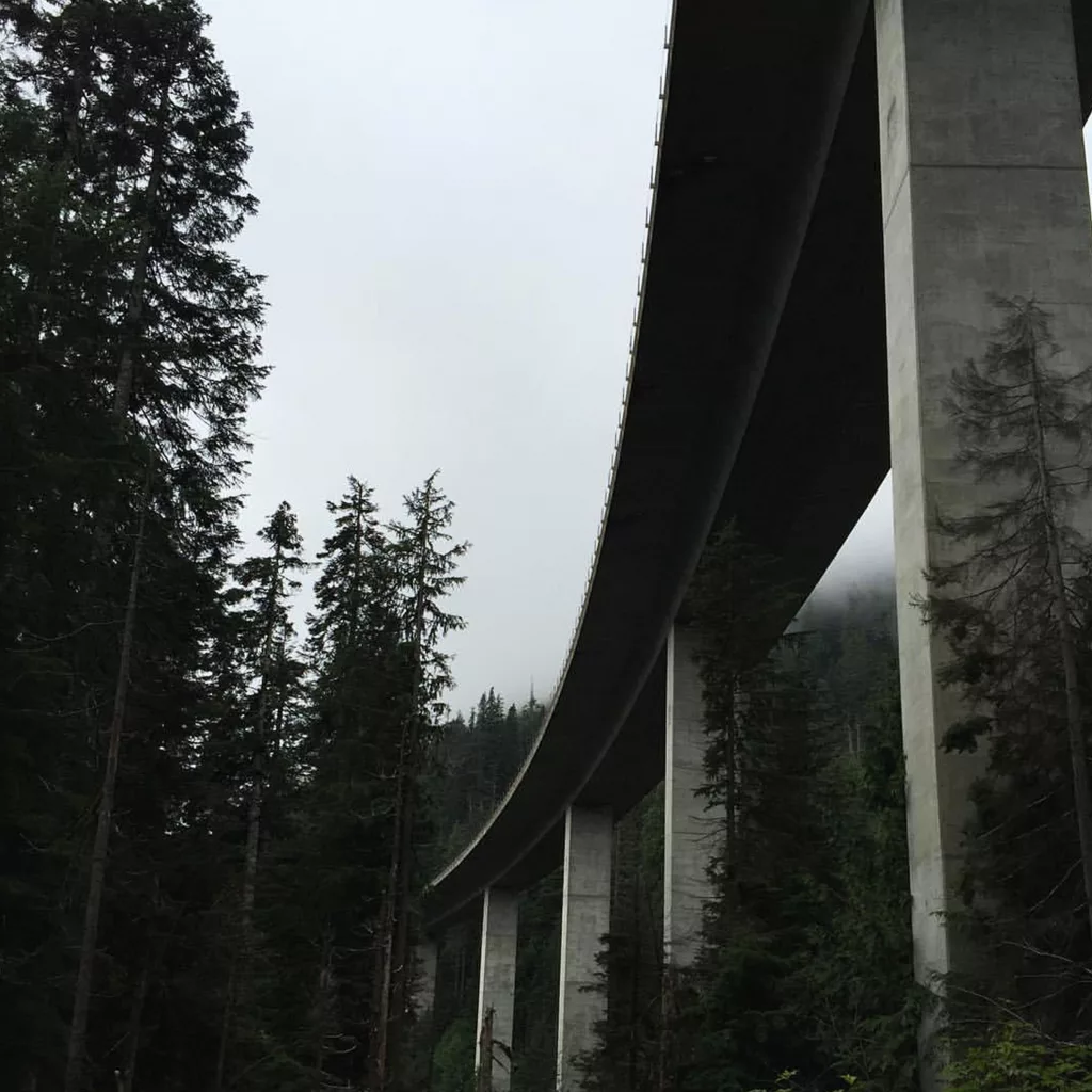 Album cover of Tyler Edwards' release "Since You Came Around" featuring an elevated highway bridge in a foggy forest
